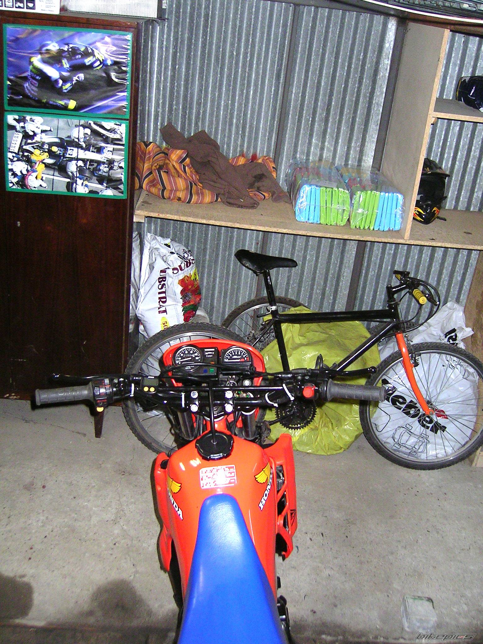 Photo 294012