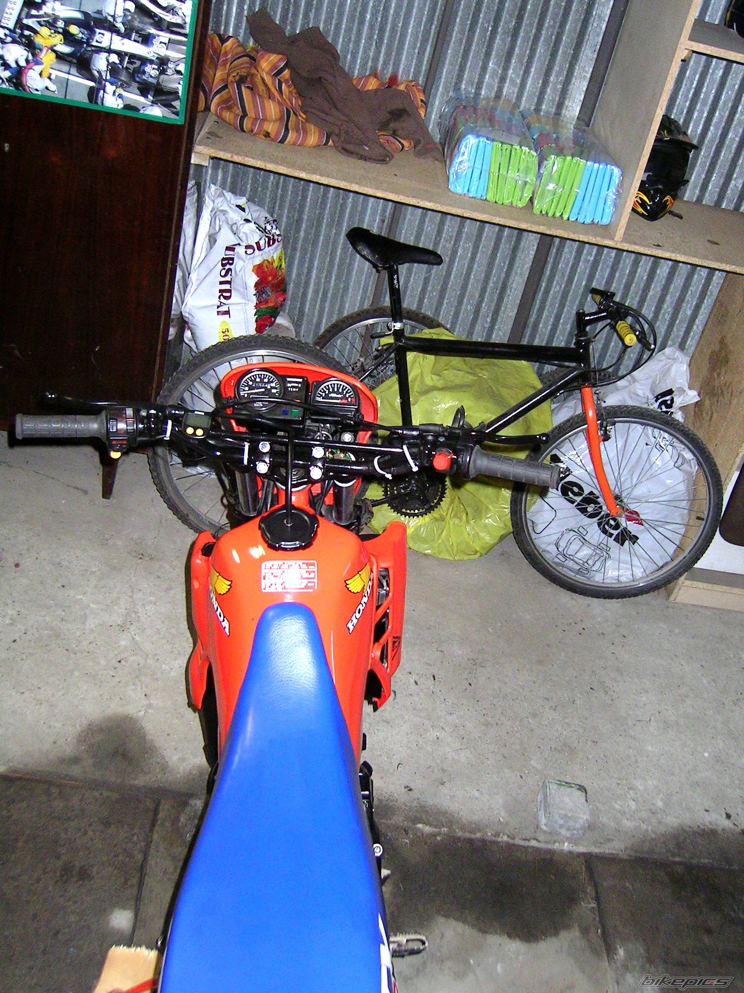 Photo 294013