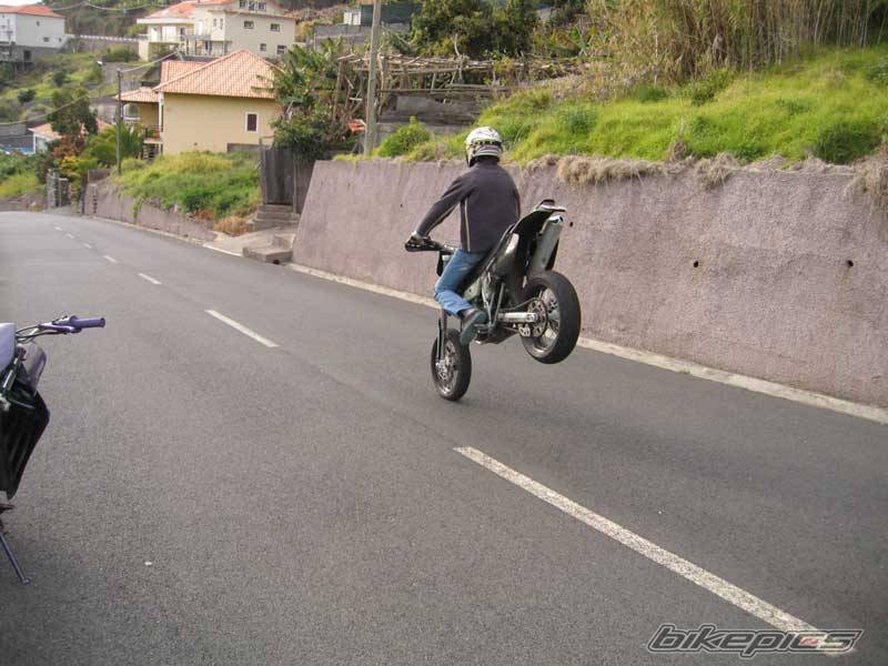 Photo 294042