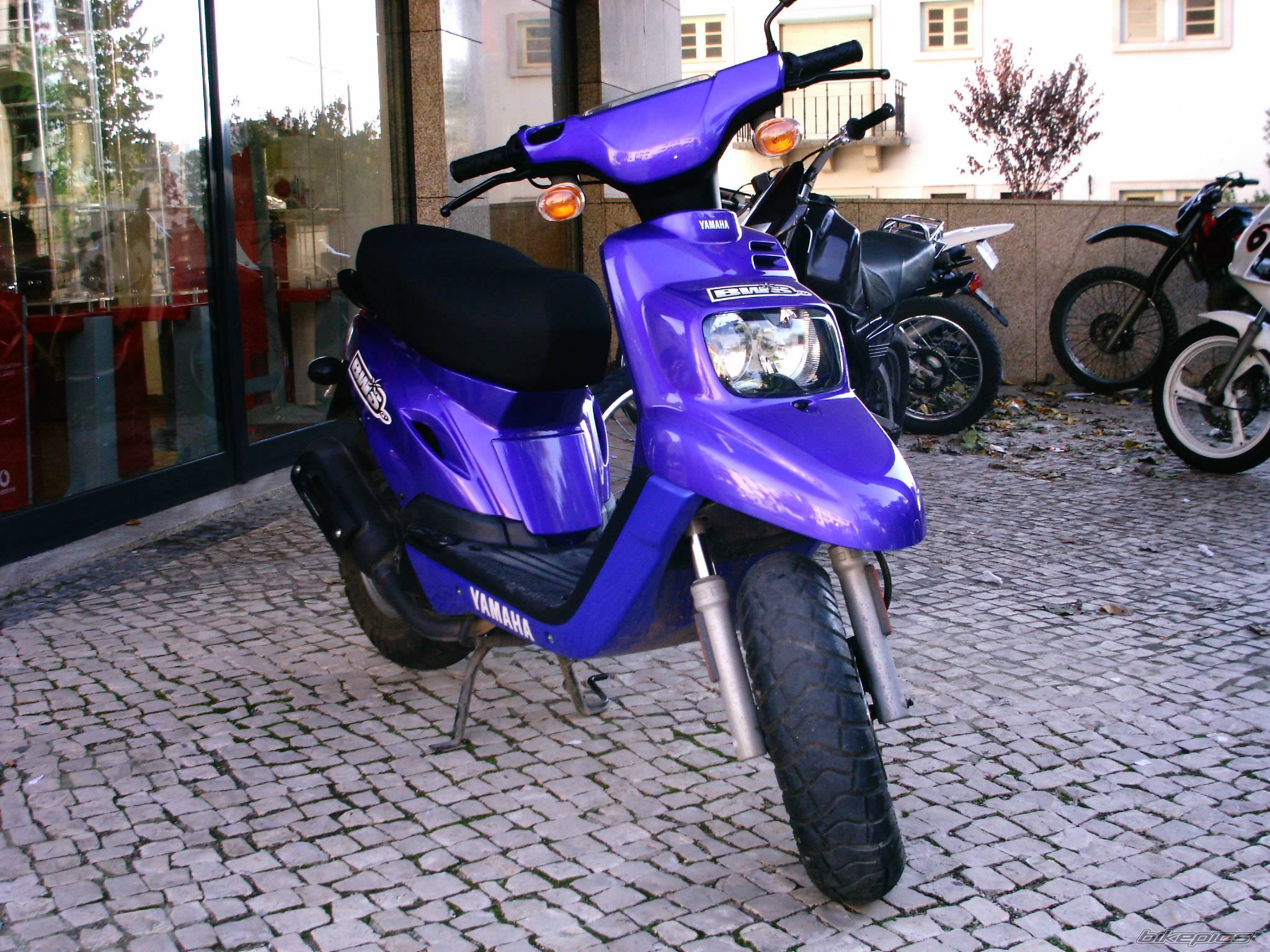 Photo 294113