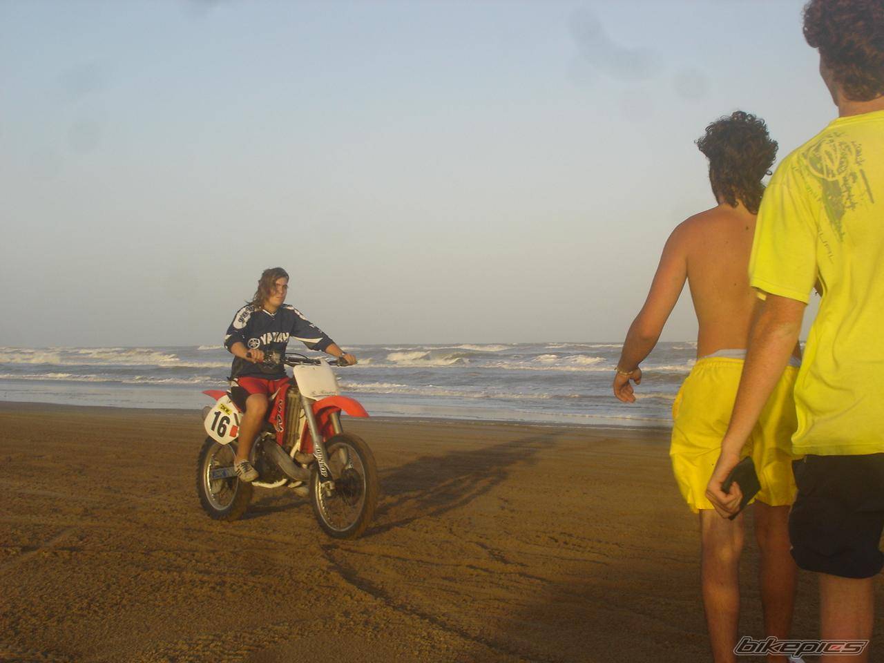 Photo 294139