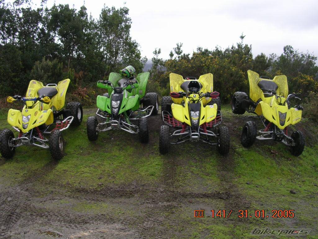 Photo 294157