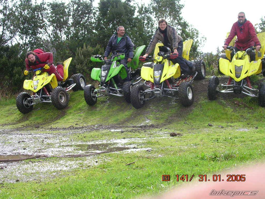 Photo 294159