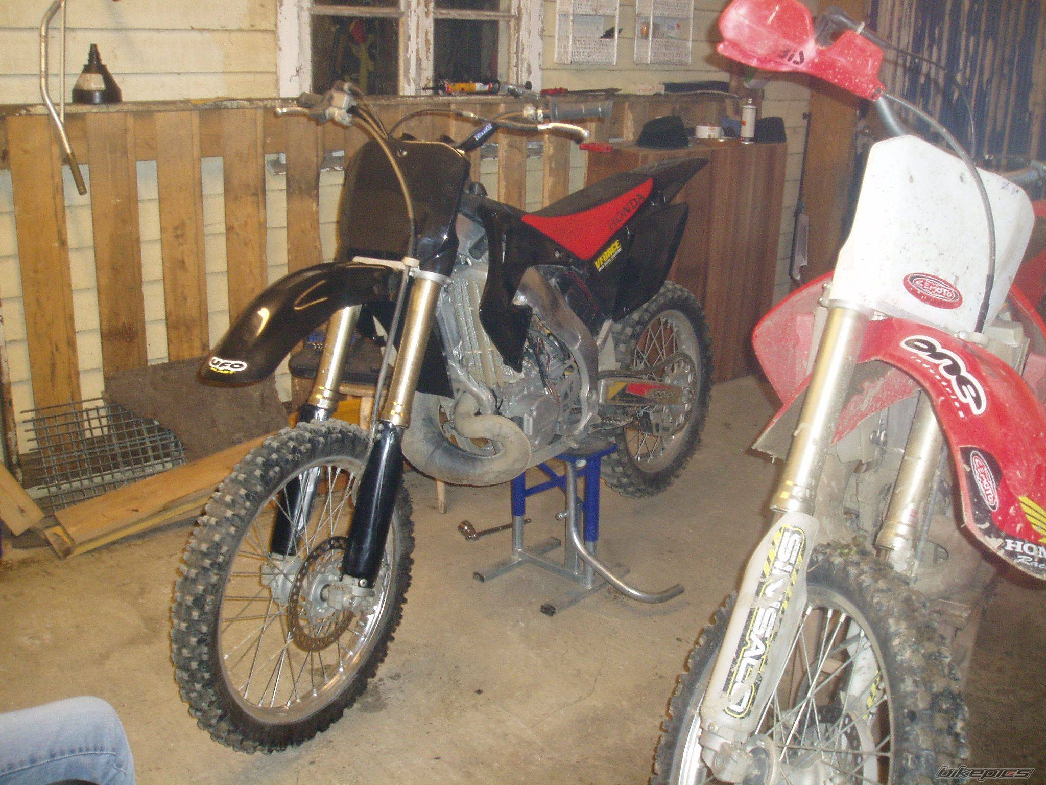 Photo 294160