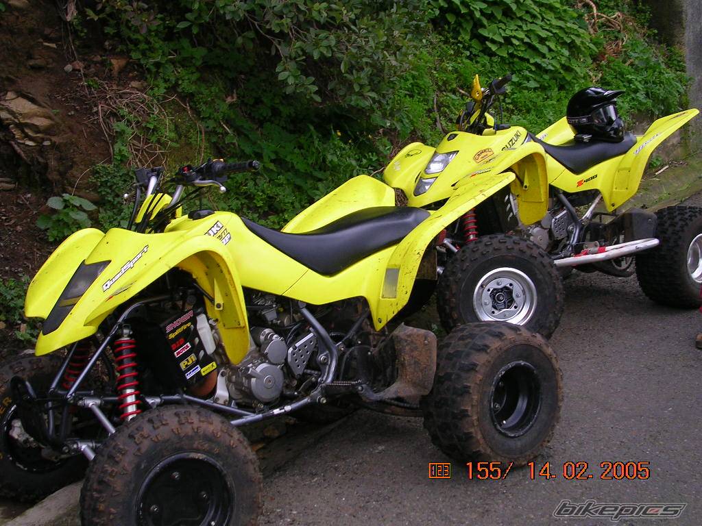 Photo 294161