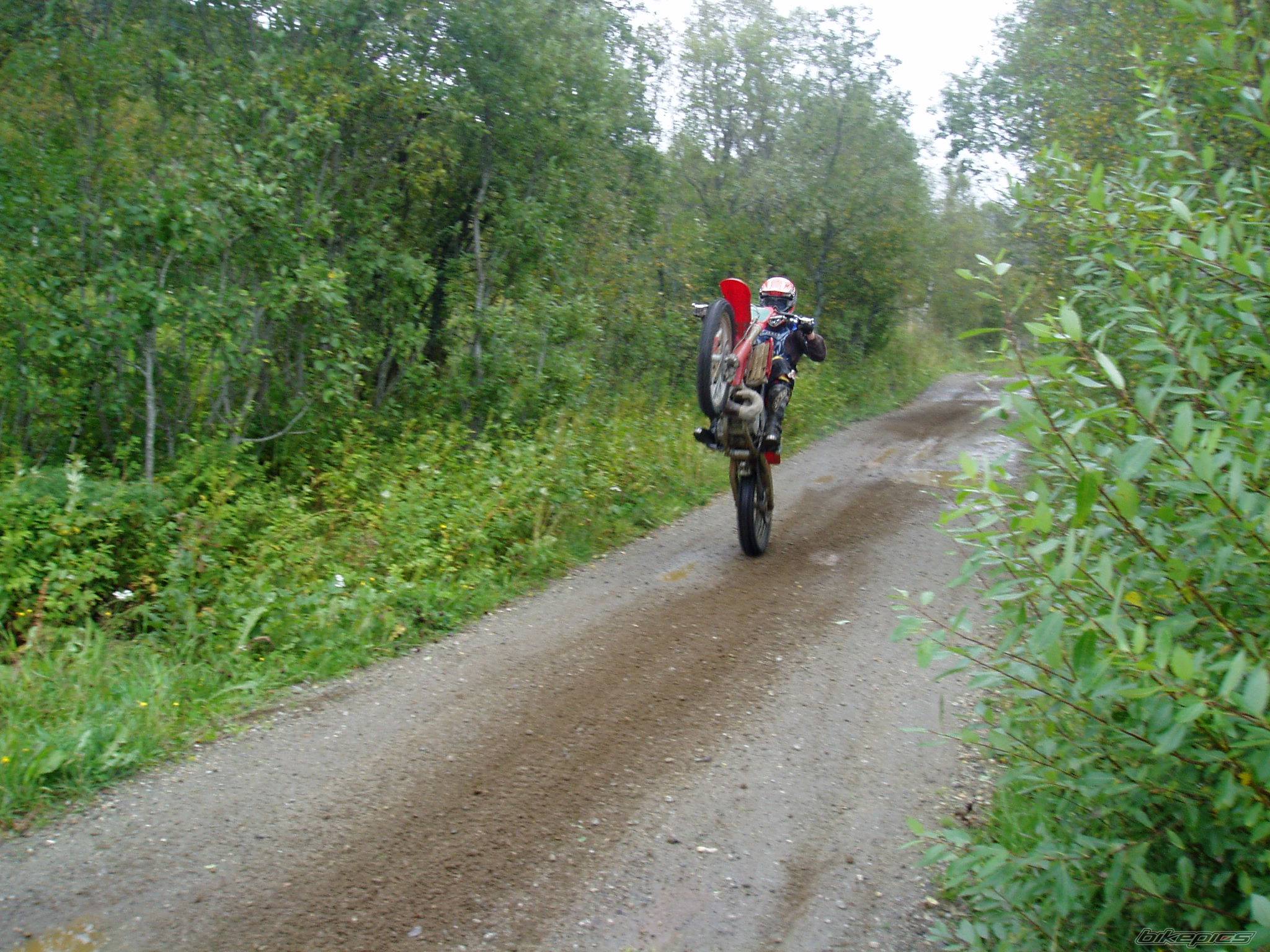 Photo 294192