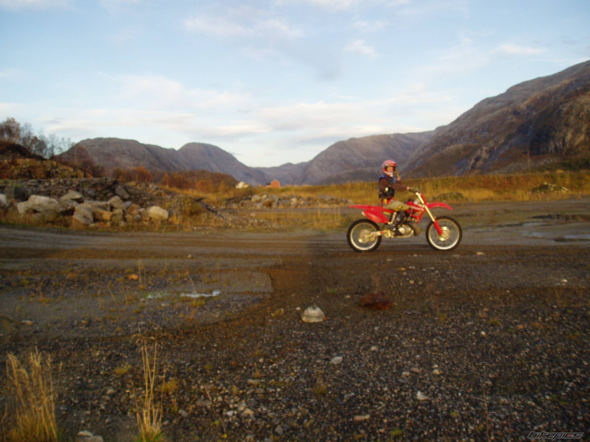 Photo 294263