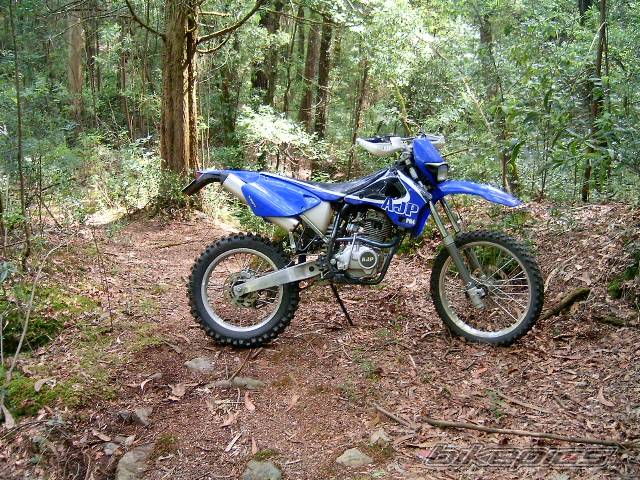 Photo 294296