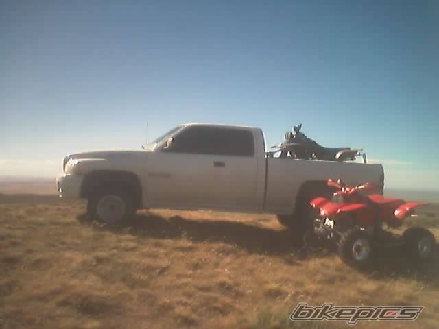 Bike Photo 294303