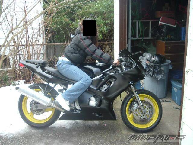 Photo 294331
