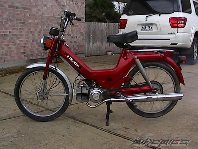 Photo 294342