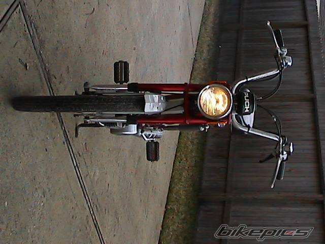Photo 294343