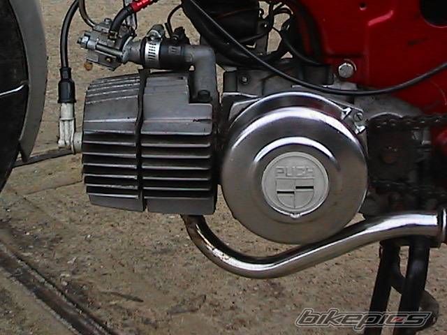 Photo 294348
