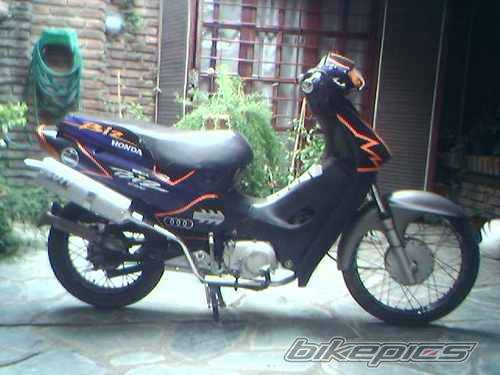 Photo 294357