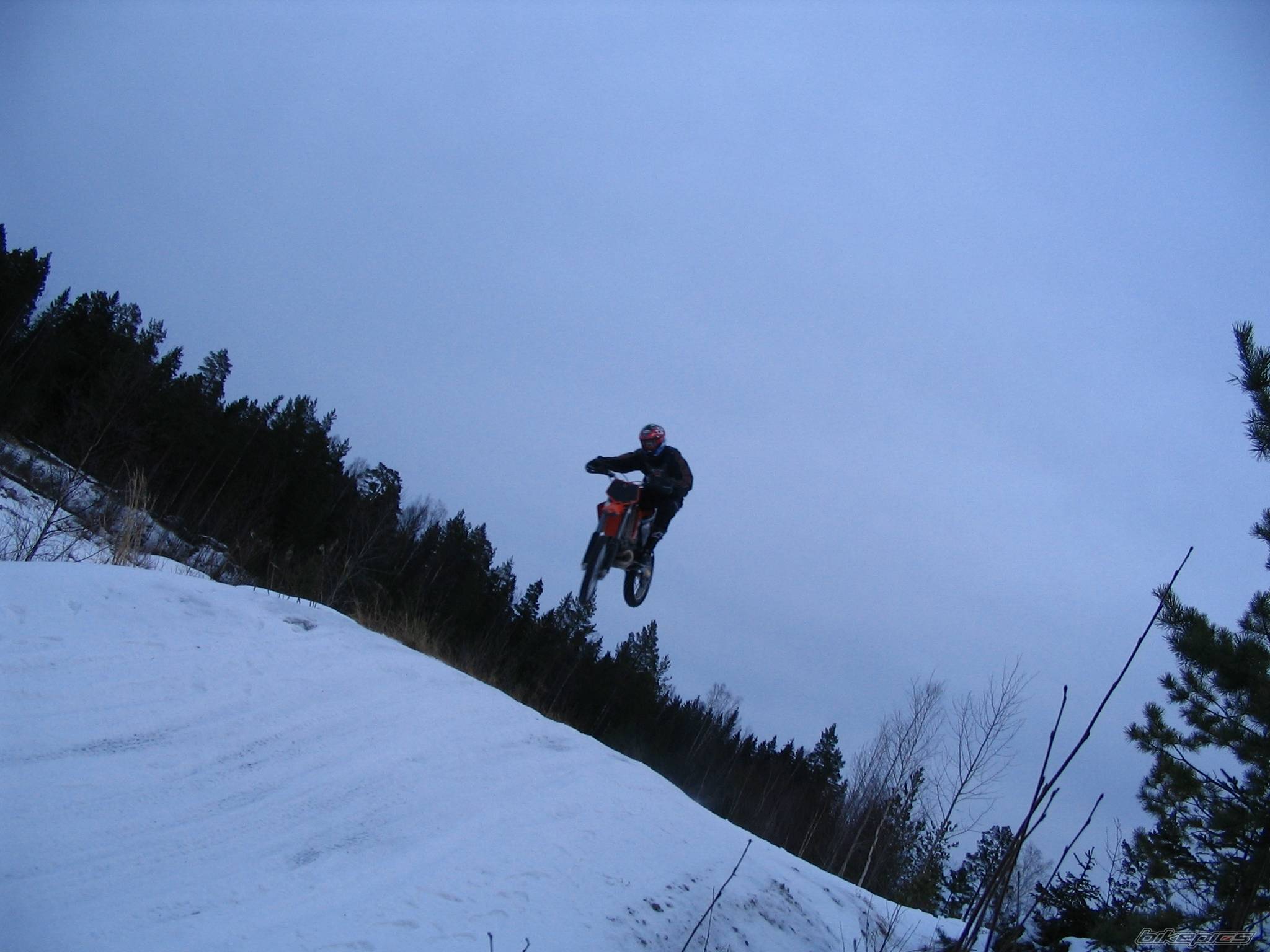 Photo 294442