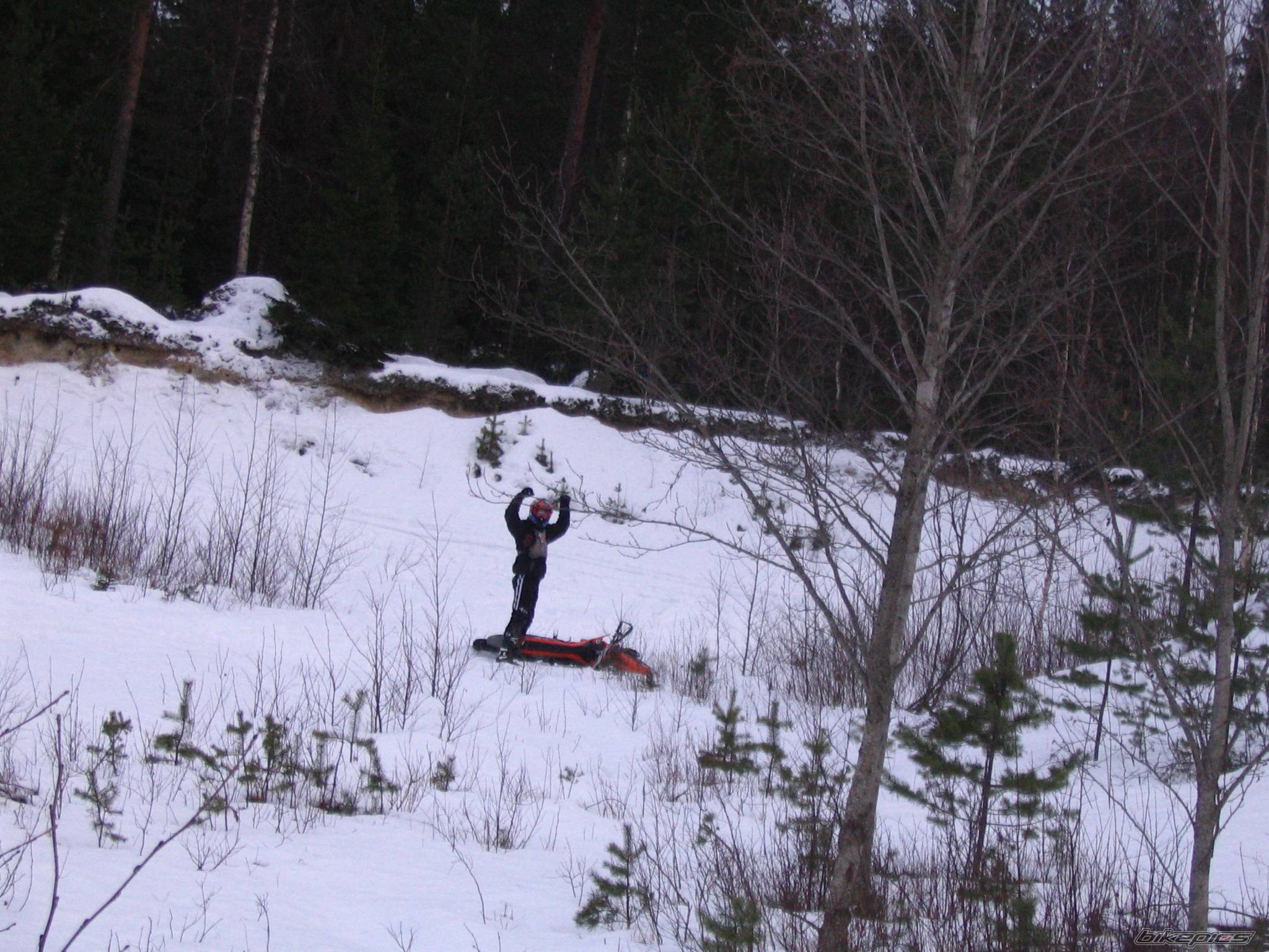 Photo 294444