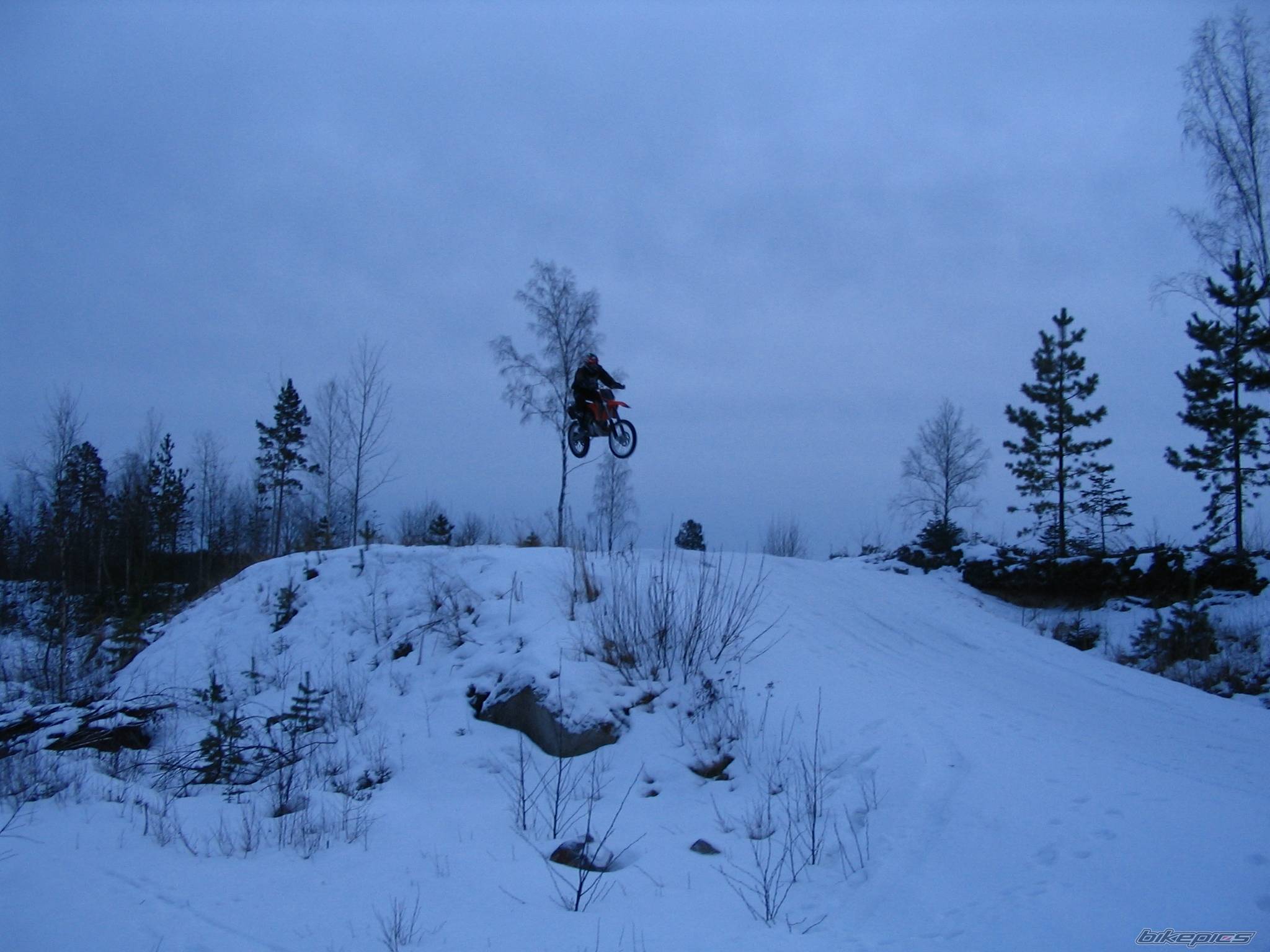 Photo 294446