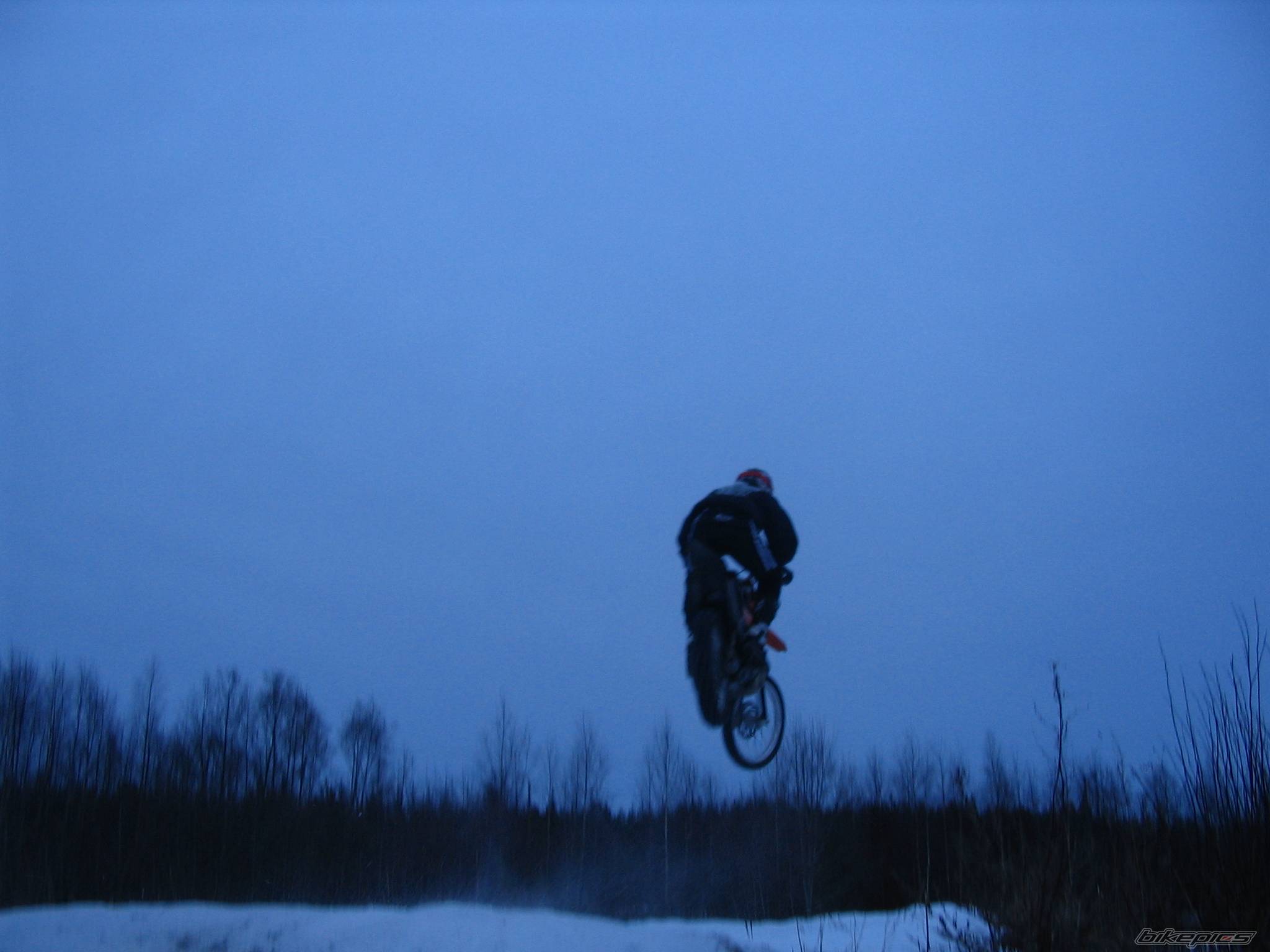 Photo 294447