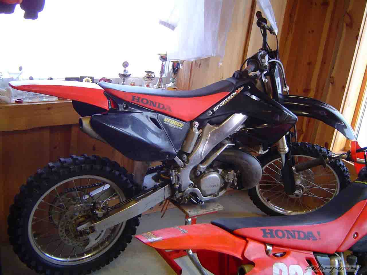 Photo 294529