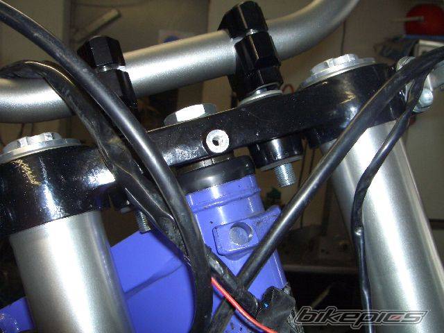 Photo 294565