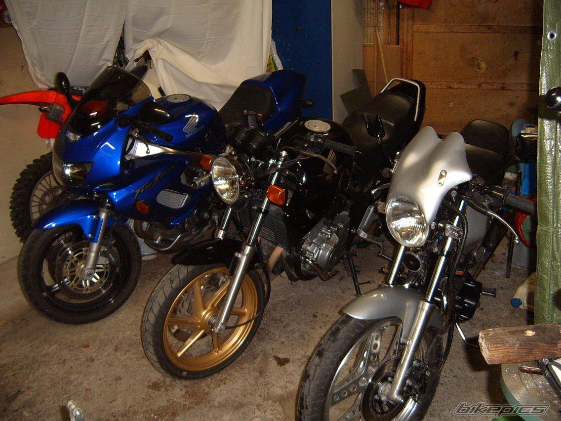 Photo 294574