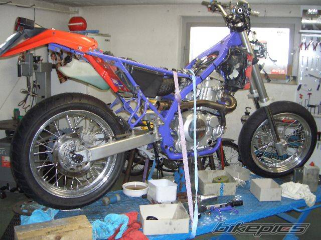 Photo 294577