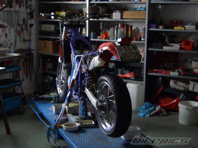 Photo 294578