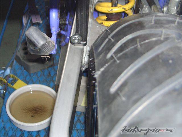 Photo 294580