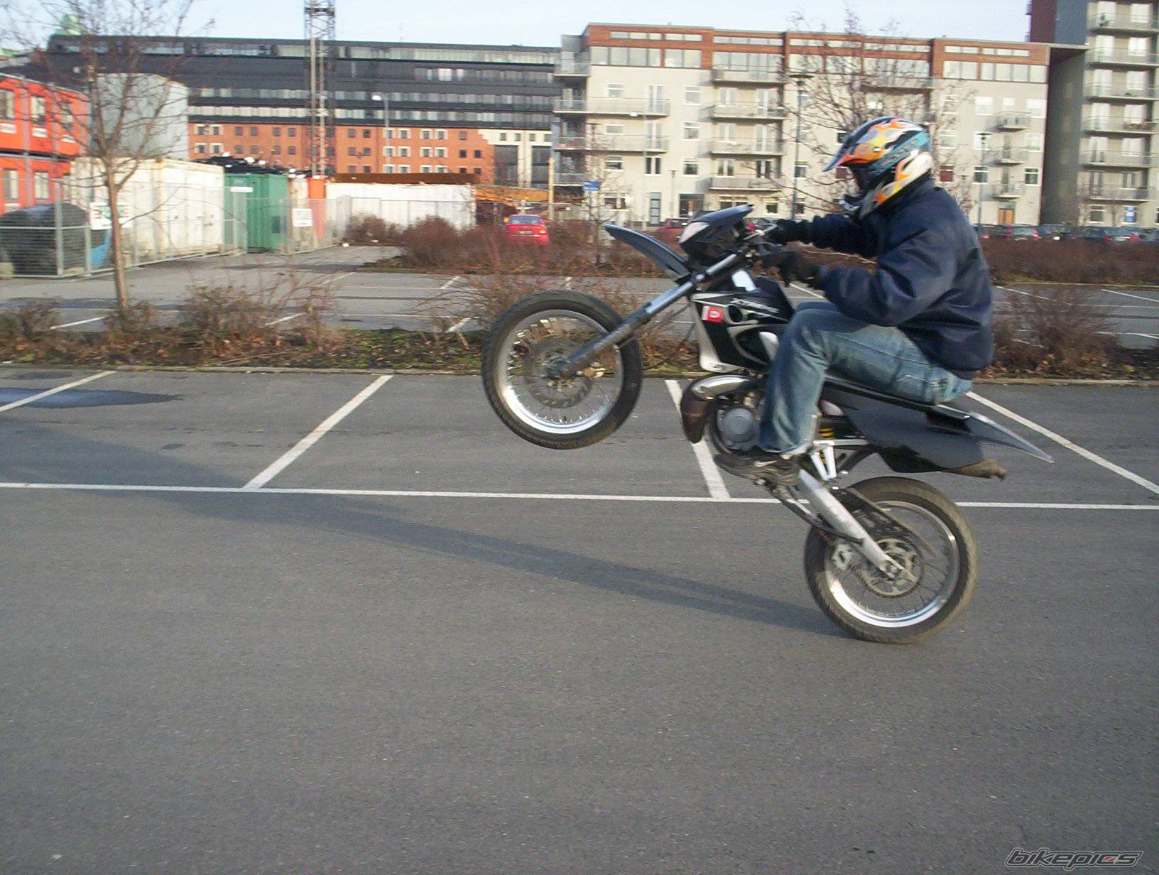 Photo 294581