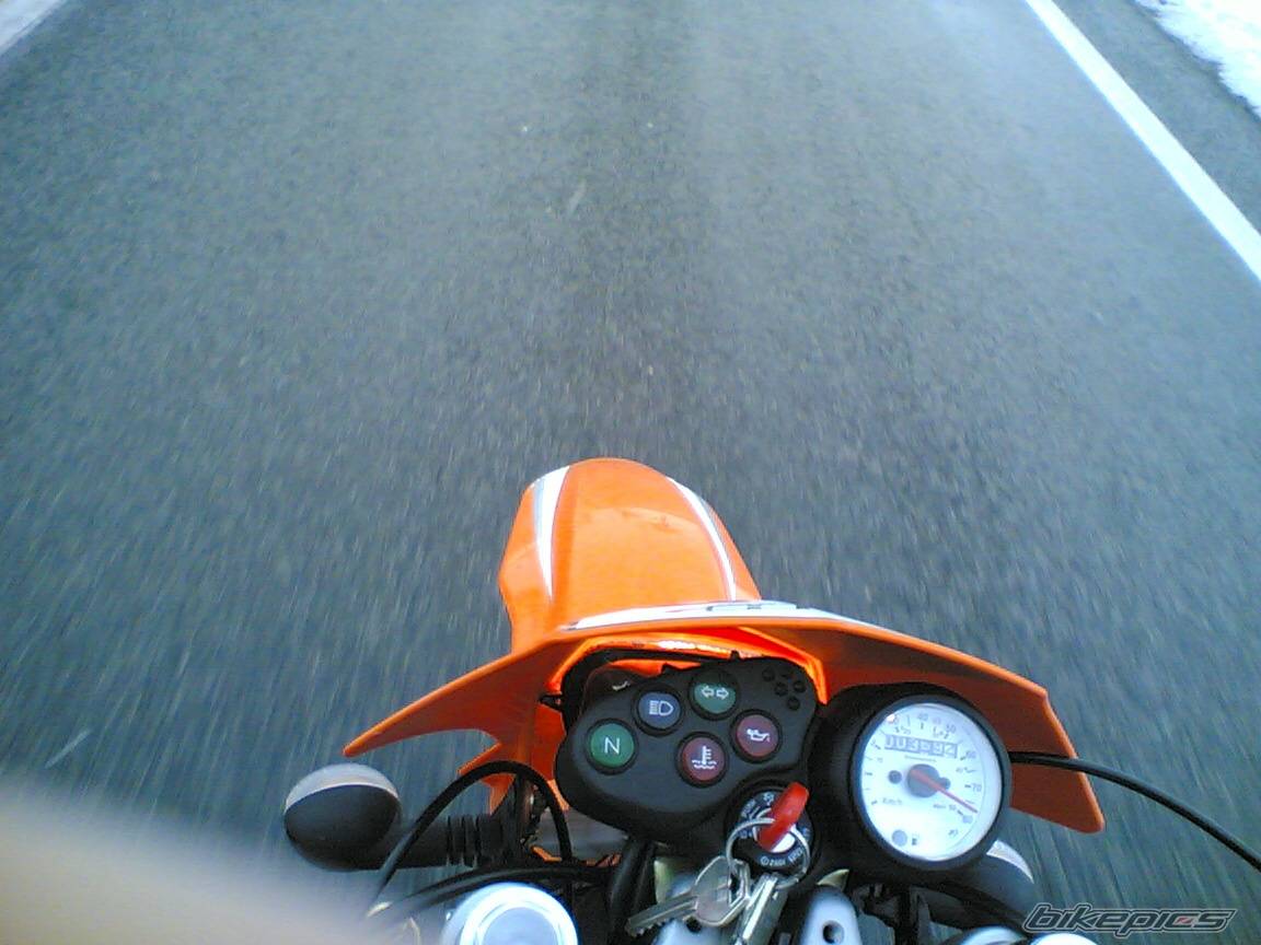 Photo 294595