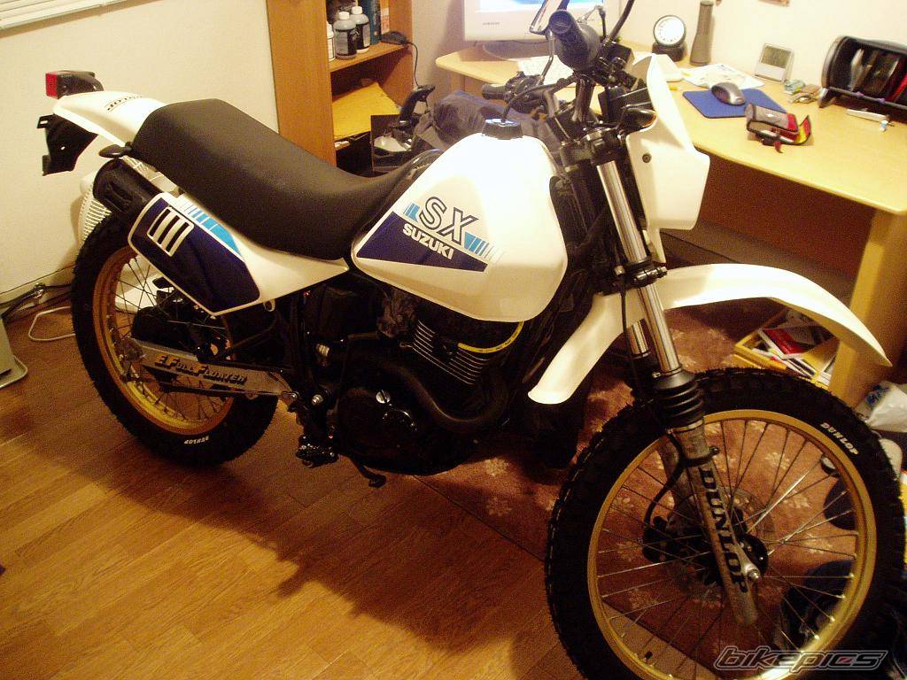 Photo 294599