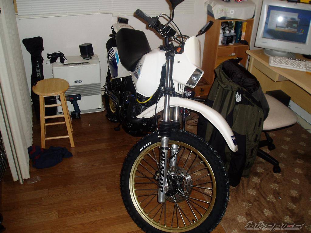 Photo 294601