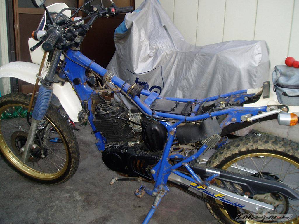 Photo 294602