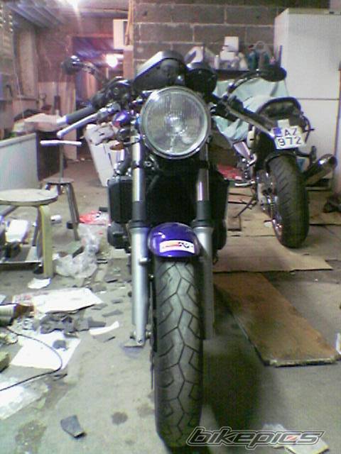 Photo 294627