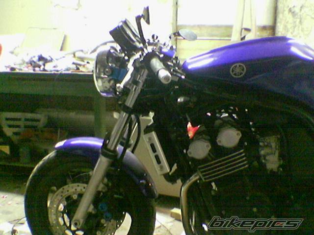 Photo 294628