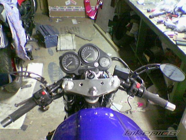 Photo 294630