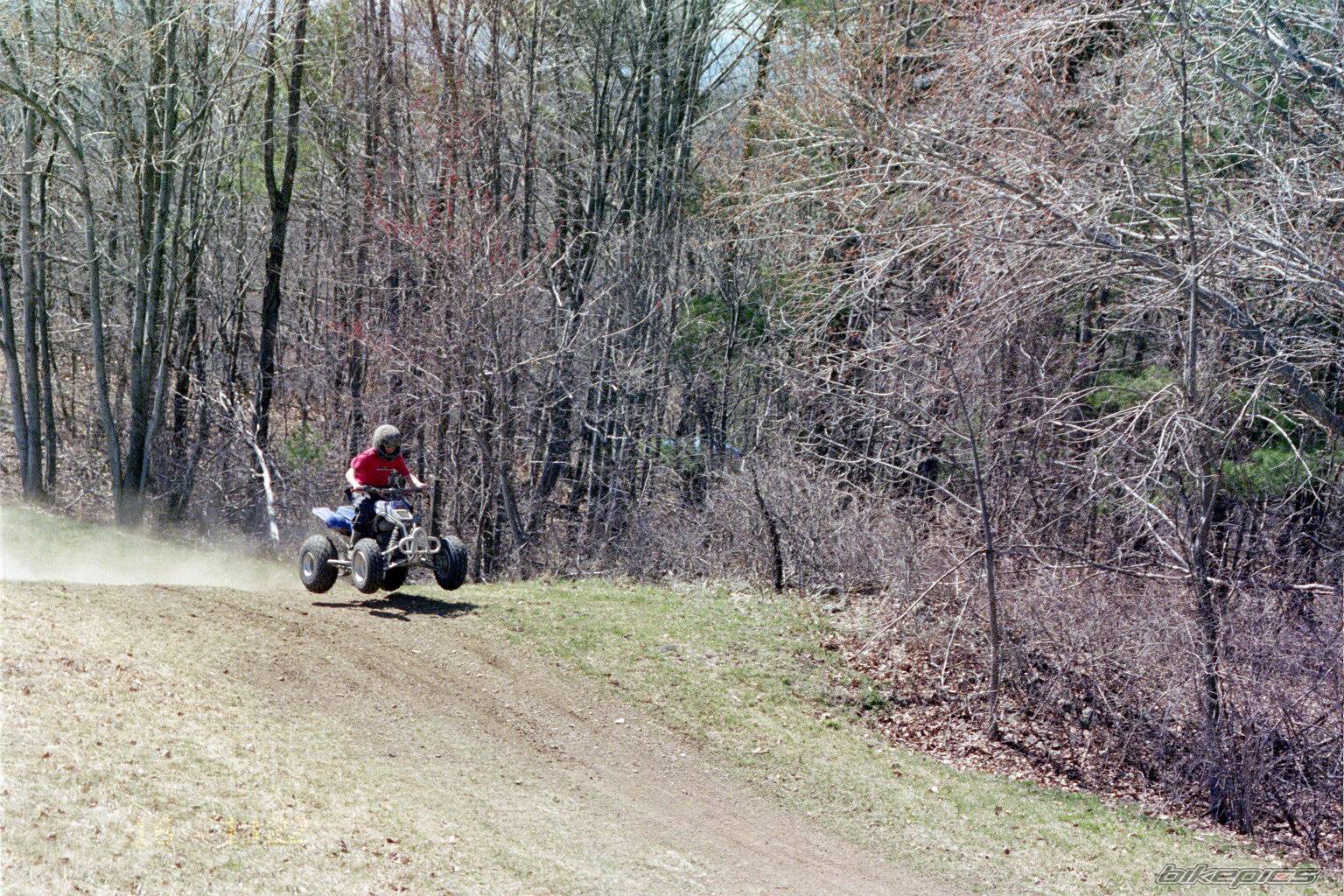 Photo 294690