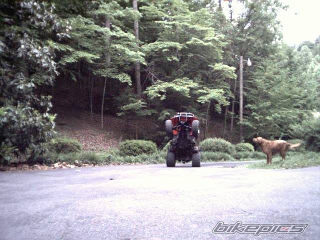 Photo 2947