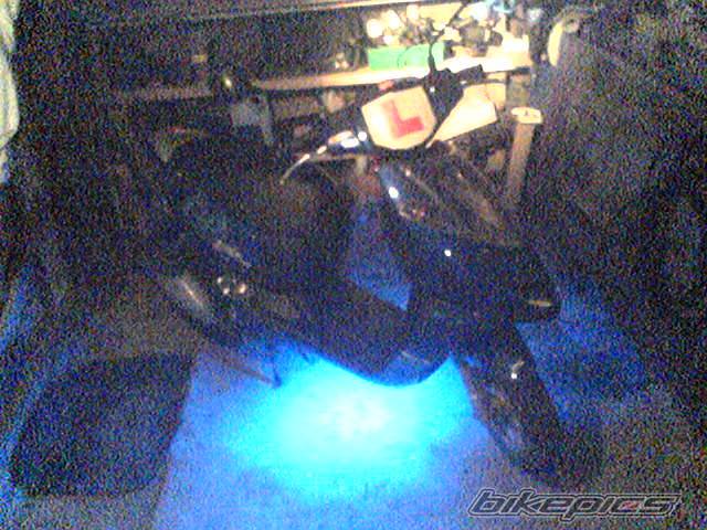Photo 294728