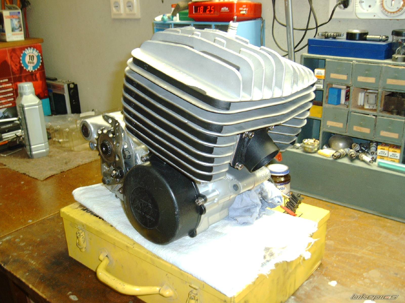 Photo 294733
