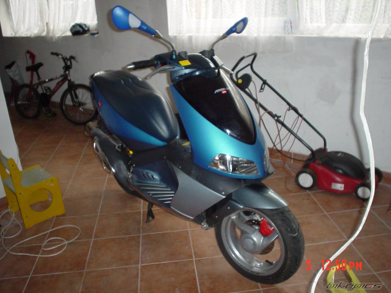 Photo 294758