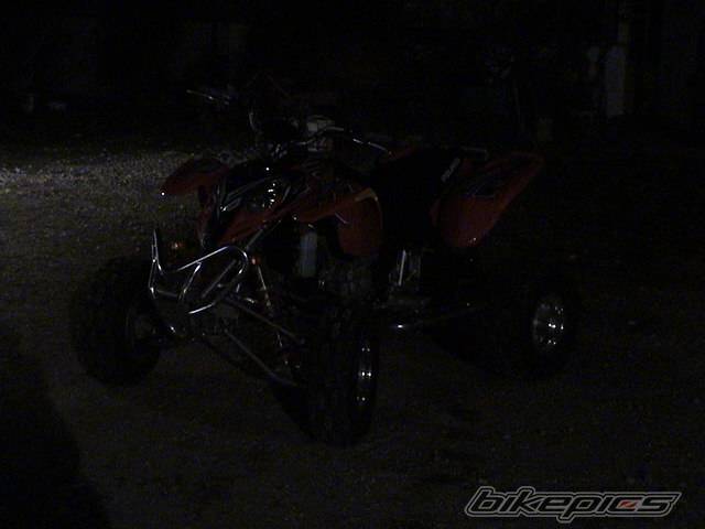 Photo 294770