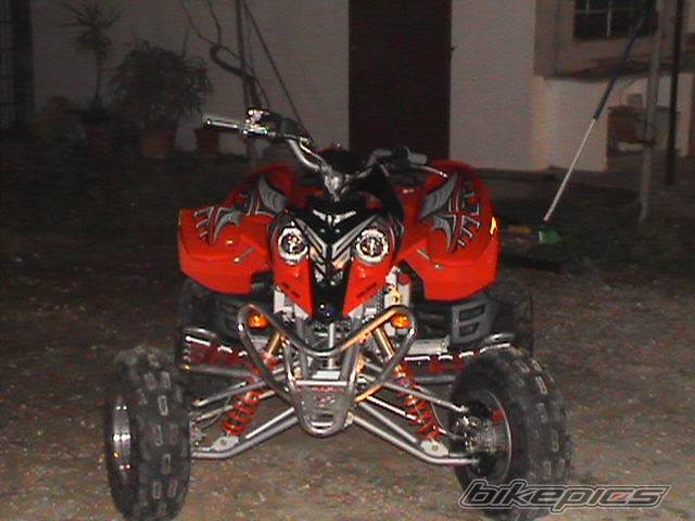 Photo 294773