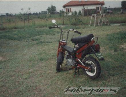 Photo 294787