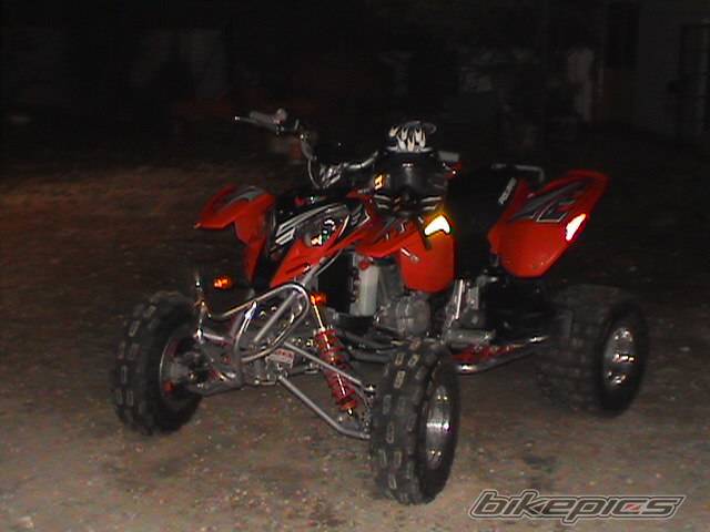 Photo 294788