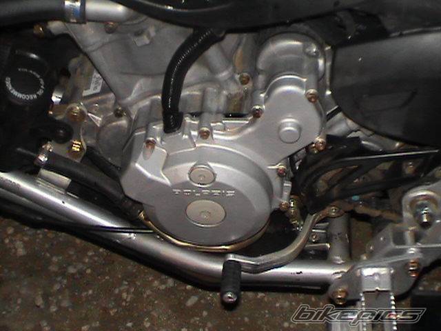 Photo 294789