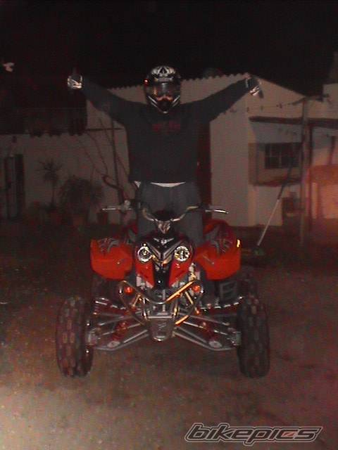 Photo 294795