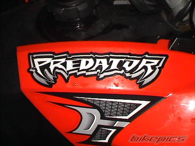 Photo 294796
