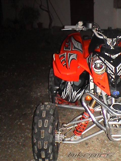 Photo 294797