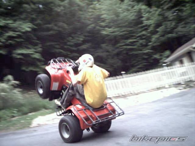 Photo 2948